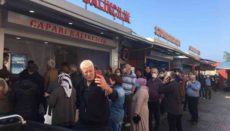 Hamsinin kilosu 5 TL’ye düştü