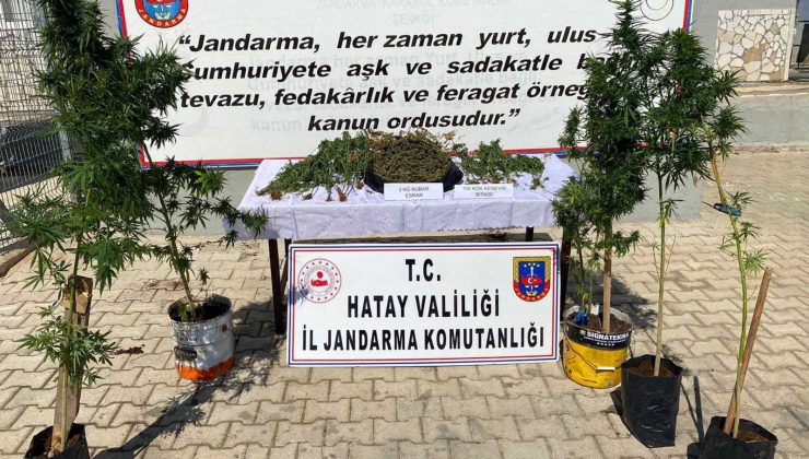 Hatay’da uyuşturucu operasyonuna 1 tutuklama
