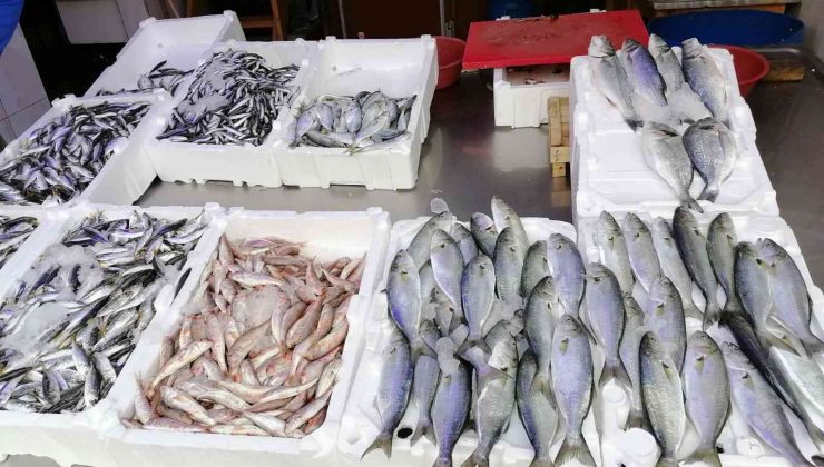 Hava şartları balık fiyatlarını olumsuz etkiledi