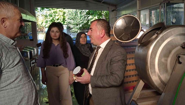 Havza damaklara hitap edecek