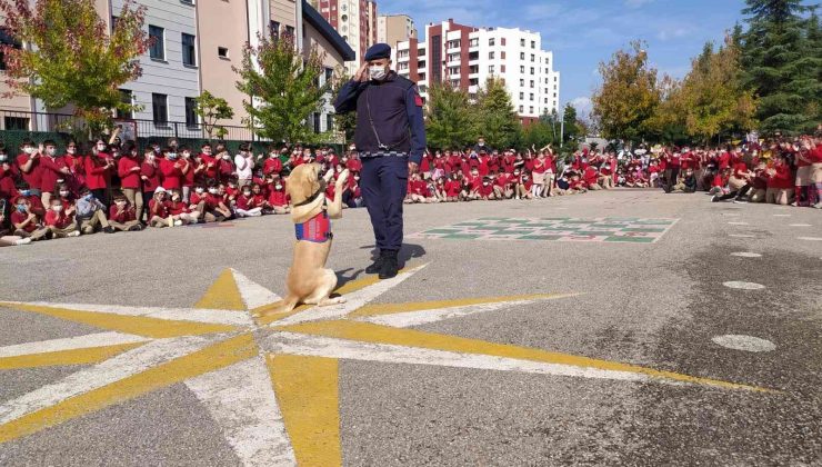 Hem öğrendiler hem de doyasıya eğlendiler