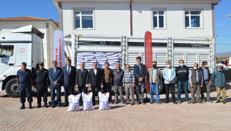 Hüyük ilçesinde çiftçilere sertifikalı mercimek tohumu desteği
