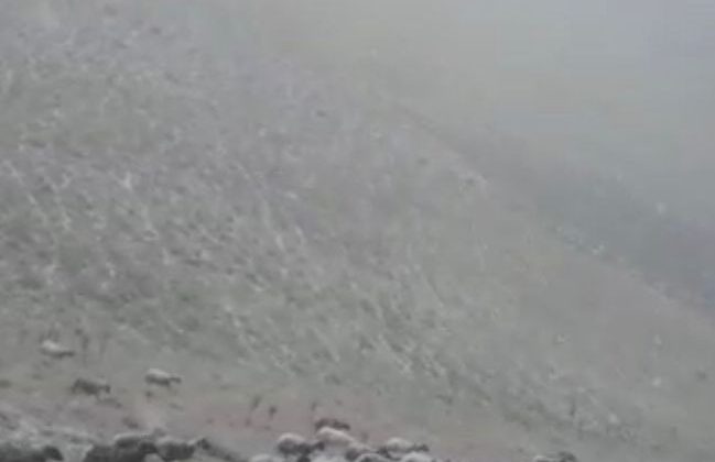 Iğdır’ın yüksek kesimlerinde kar