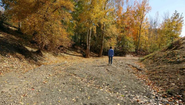 İlkbaharda gürül gürül akan dere yatağı şimdi yol olarak kullanılıyor