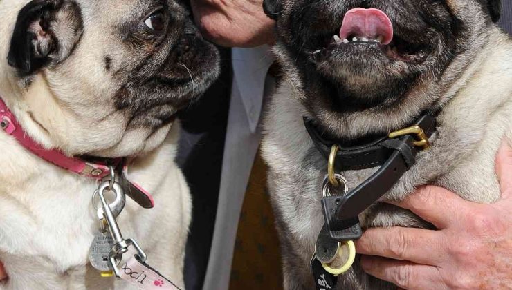 İngiltere’de Muhafazakar Parti Milletvekili David Amess’in, Essex bölgesinde bıçaklı saldırıya uğradığı bildirildi.