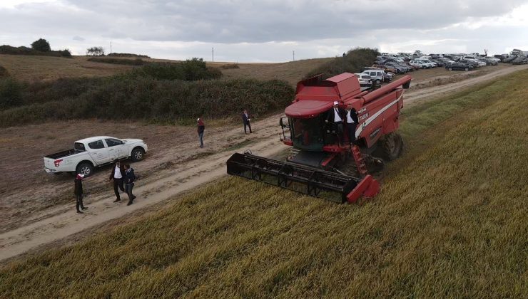 İpsala’da damlama sulama ile ilk defa ekilen çeltiğin hasadı yapıldı