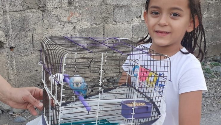 İtfaiyeciler kafesinden kaçan muhabbet kuşu için seferber oldu