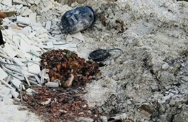 İzmir’de boş arazide insan vücudu parçaları bulundu