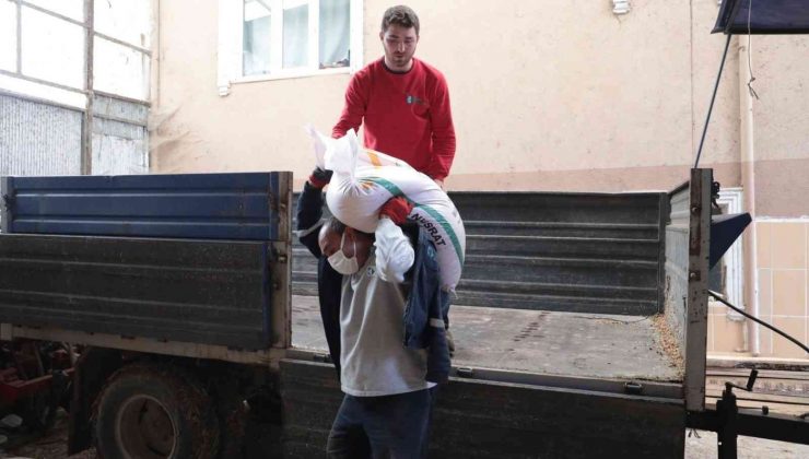 İzmit Belediyesi buğday dağıtımını sürdürüyor