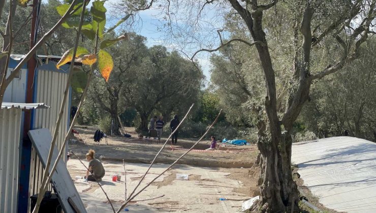 İznik’te  zeytinlikte lahit bulundu