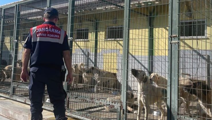 Jandarmadan hayvan bakımevlerine ziyaret