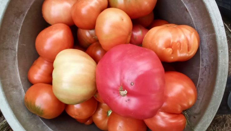 Kabartma şeklindeki Allah yazısı şaşırttı