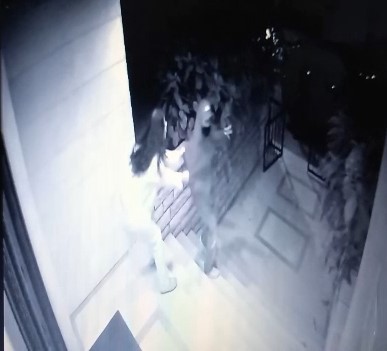 Kadıköy’de genç kızın hırsızlarla mücadelesi: Silah çekip, kaçtılar