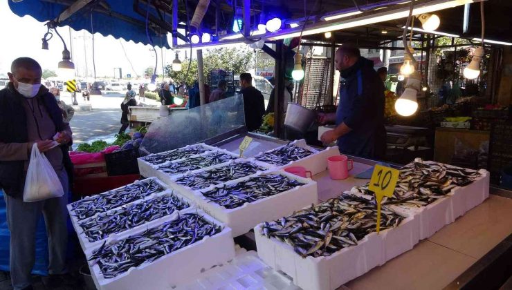 Karadeniz’de hamsi bereketi