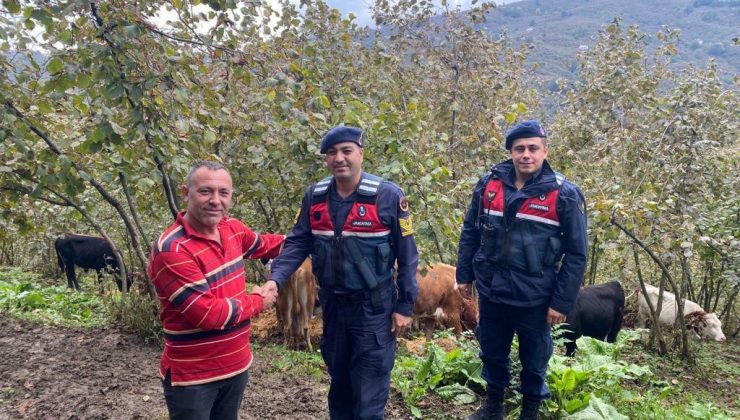Kayıp hayvanlar bulunarak sahibine teslim edildi
