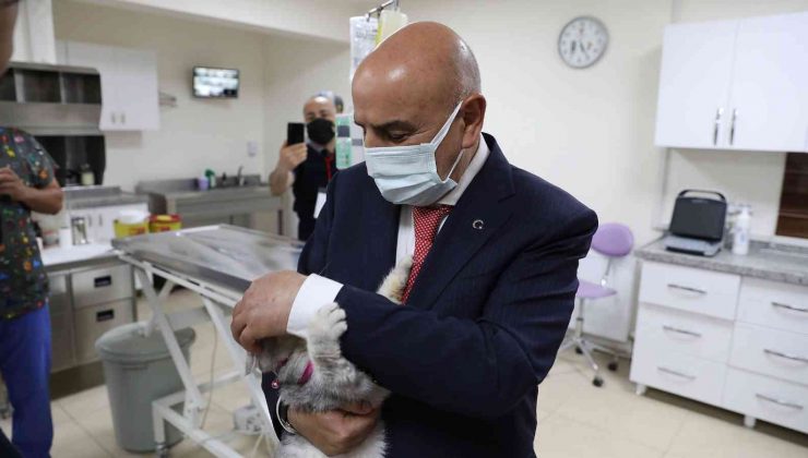 Keçiören Belediyesi ‘8 bin 376’ sokak canlısını tedavi etti