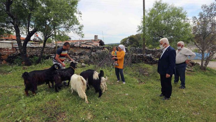 Kıl Keçisi desteği başvuruları devam ediyor