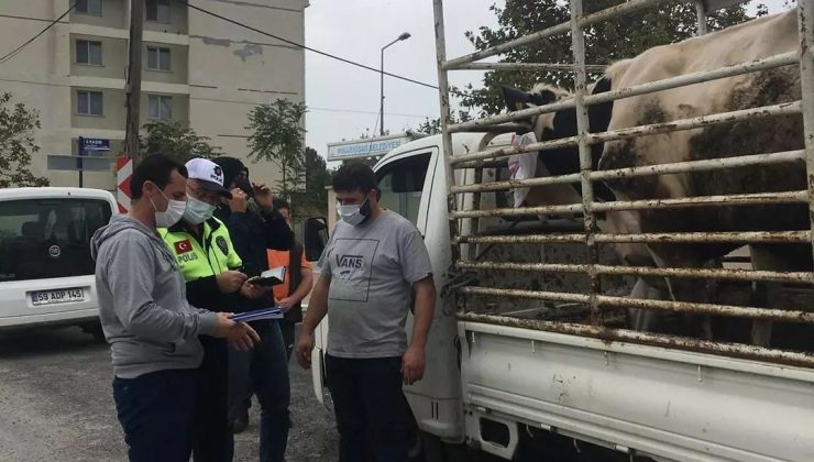 Kırklareli’nde canlı hayvan sevkiyatı yapan araçlar denetlendi