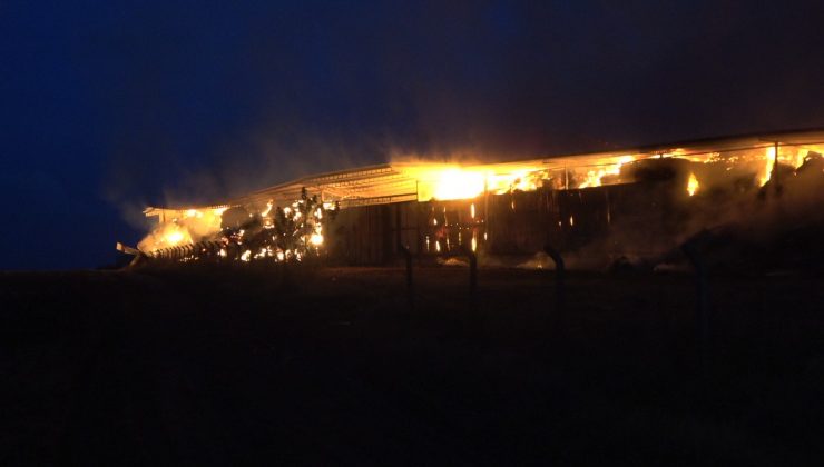 Kırklareli’nde çiftlik yangını: Çok sayıda saman balyası kül oldu