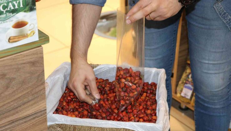 Kış erken geldi, aktarlarda en çok satılan ürünler ıhlamur ve kuşburnu oldu