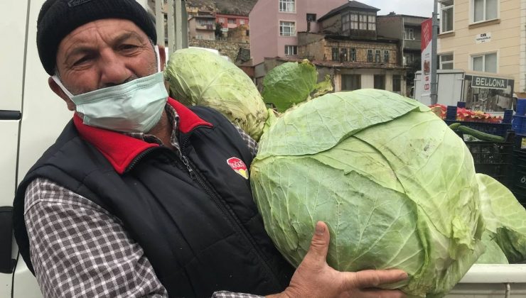 Kış mevsiminin gözdesi Bayburt lahanası tezgâhlarda yerini aldı