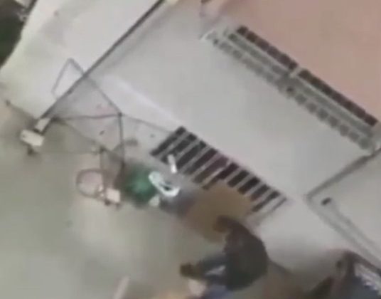 Köpeğini darp eden doktora para cezası