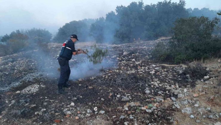 Korkutan orman yangını 5 saatte kontrol altına alındı