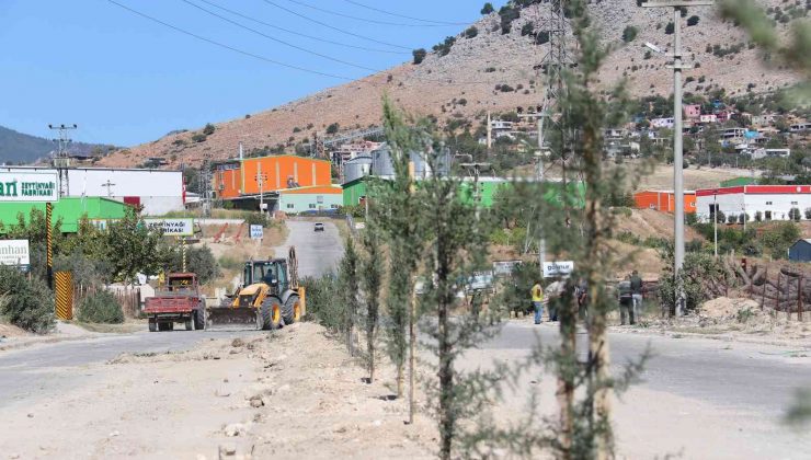 Kozan OSB ağaçlandırıldı