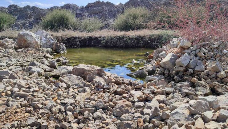 Kuş cenneti moloz yığını ile kirletilmeye devam ediyor