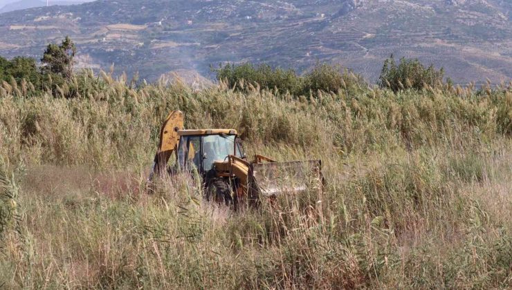 Kuş cennetine kepçe ile geçip yol açmaya çalıştı