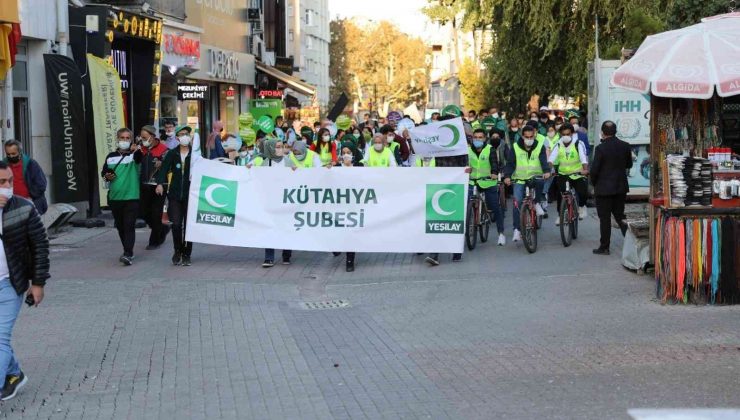 Kütahya’da farkındalık yürüyüşü