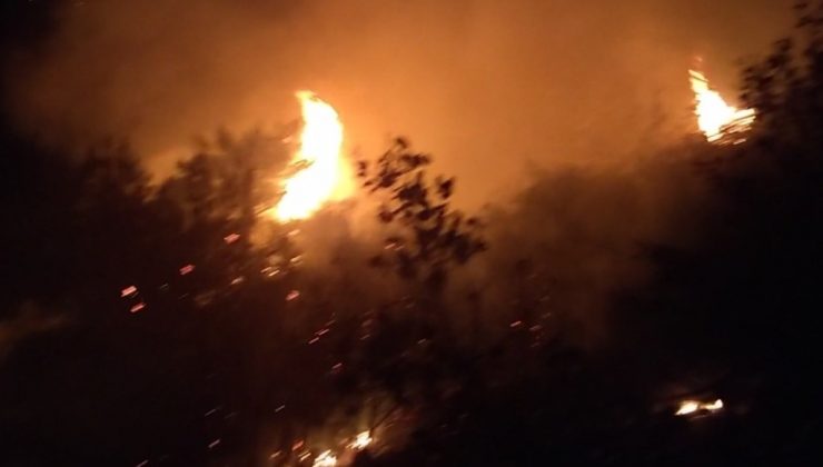 Lübnan’ın kuzeyindeki orman yangınına ordu müdahalesi