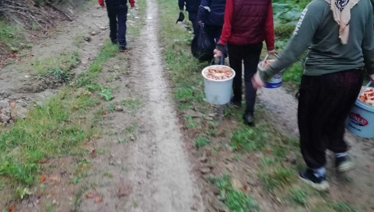 Mantar toplarken kaybolan 6 kişi bulundu