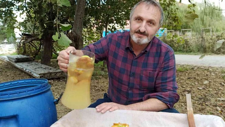 Marketlerde satılan hazır sirkelere kızınca kendi sirkesini yaptı