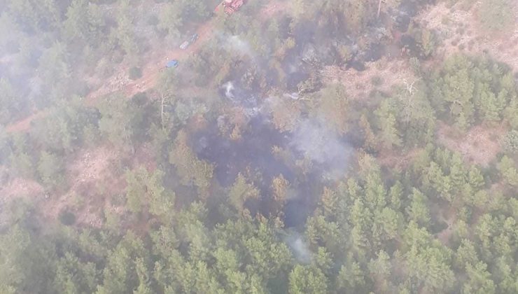 Menteşe’deki orman yangını kontrol altına alındı