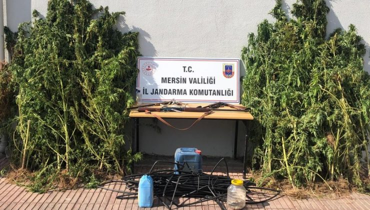 Mersin’de uyuşturucu operasyonu