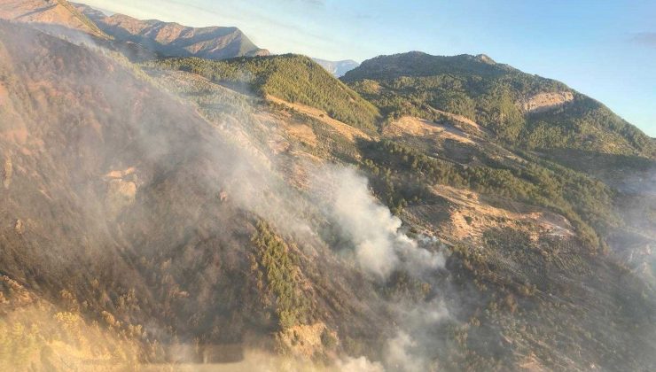 Muğla’da gece başlayan orman yangınını söndürme çalışmaları devam ediyor