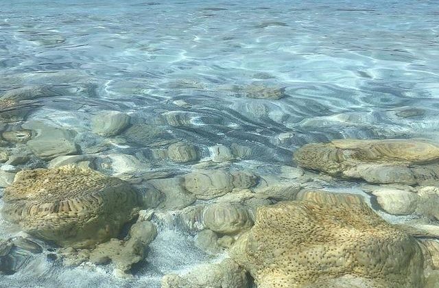 NASA’dan Salda Gölü paylaşımı