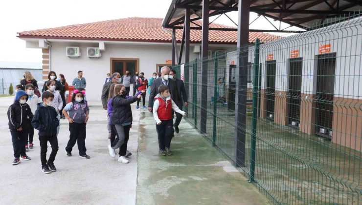 Öğrenciler sokak hayvanlarını ziyaret etti