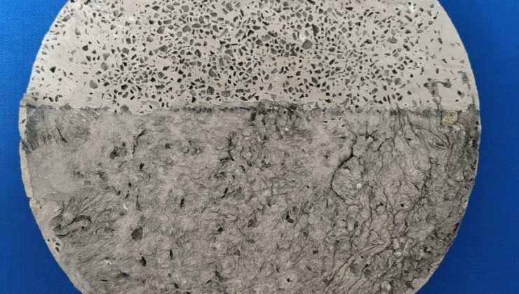 OMÜ’lü akademisyene jüri özel ödülü