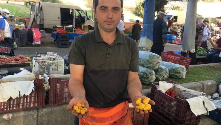 On bin kilometre öteden geldi