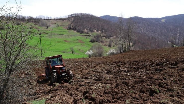 Ordu’da atıl araziler çiftçilere cansuyu oldu
