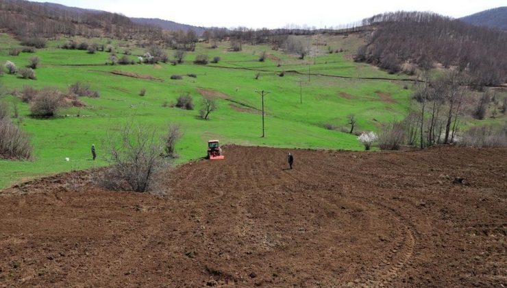 Ordu’da üreticilere 54,5 ton tohum dağıtıldı