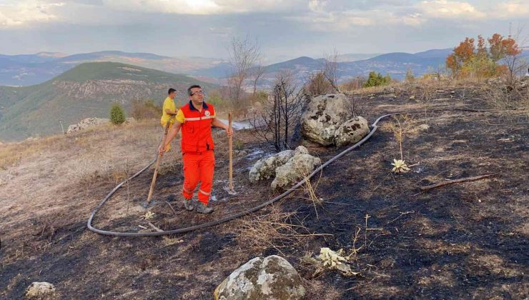 Ormanlık alanda başlayan yangın büyümeden söndürüldü