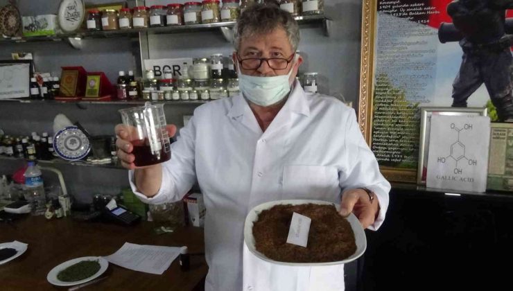 (Özel) Çay üretiminde çıkan atık maddelerden ilaç etken maddesi üretiyor