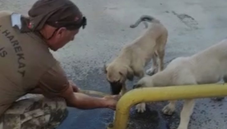 Özel harekat polisinden yürek ısıtan hareket