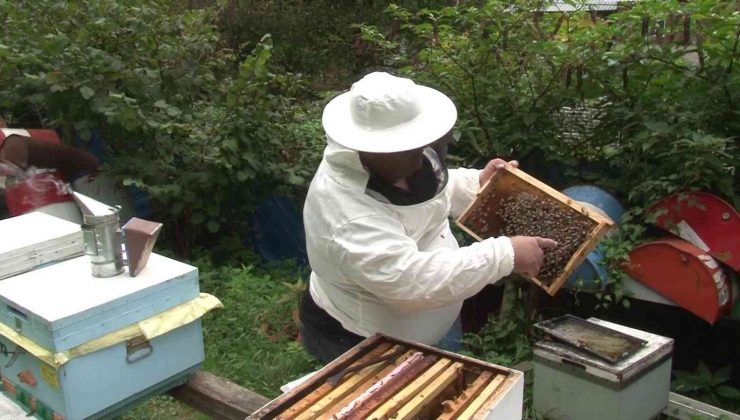 İstanbul’un ilk coğrafi işaretli gıda ürünü