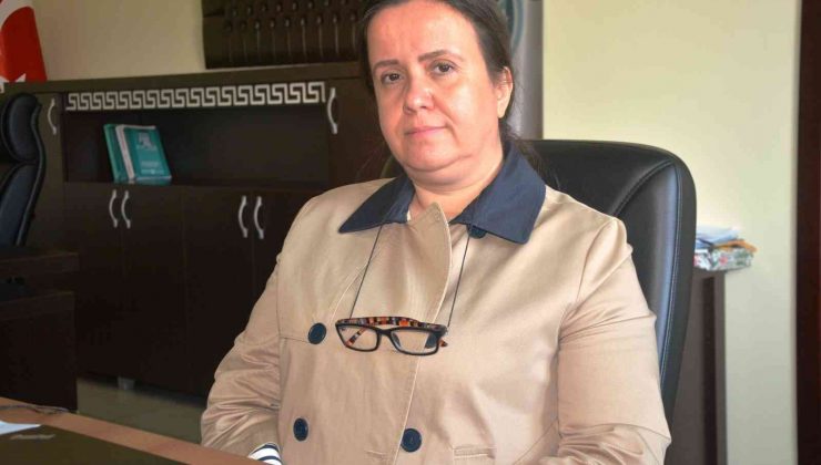 Marmara’ya  yapay resif