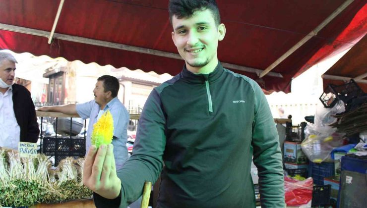 (Özel) Yaraları iyileştiren böyle ’kudret’li ilaç yok