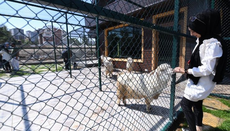 Pursaklar’ın yeni cazibe merkezi ‘‘Endemik Vadi’’